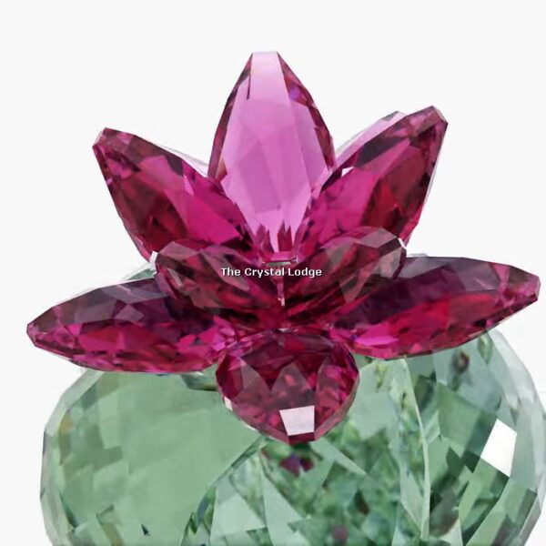 Swarovski_Crystal_Flowers_Bordeaux_Cactus_5426978 | The Crystal Lodge