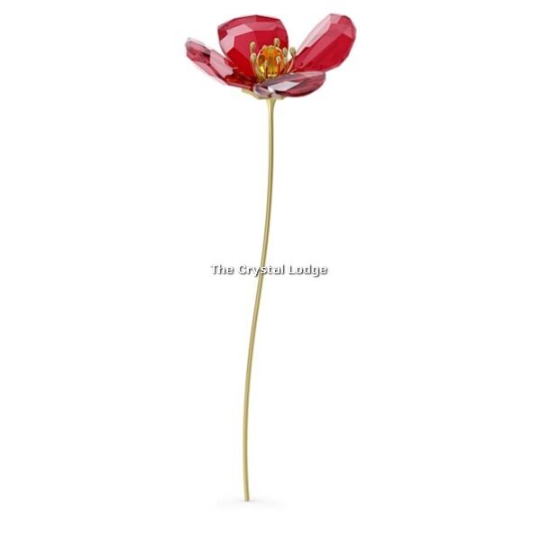 Swarovski_Garden_Tales_red_Poppy_5646018 | The Crystal Lodge