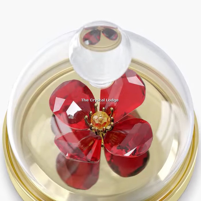 Swarovski_Garden_Tales_red_Poppy_bell_jar_small_5646022 | The Crystal Lodge