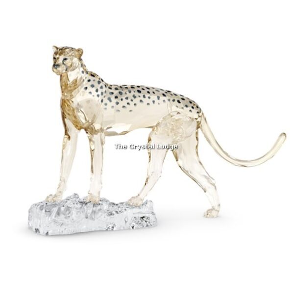 Swarovski_SCS_2023_Elegance_of_Africa_Cheetah_Mehira_5636241 | The Crystal Lodge