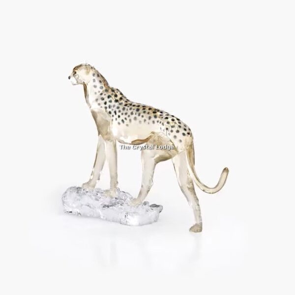 Swarovski_SCS_2023_Elegance_of_Africa_Cheetah_Mehira_5636241 | The Crystal Lodge
