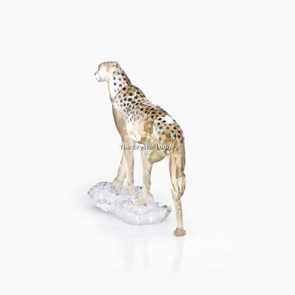 Swarovski_SCS_2023_Elegance_of_Africa_Cheetah_Mehira_5636241 | The Crystal Lodge