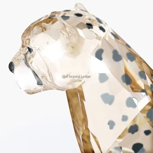 Swarovski_SCS_2023_Elegance_of_Africa_Cheetah_Mehira_5636241 | The Crystal Lodge