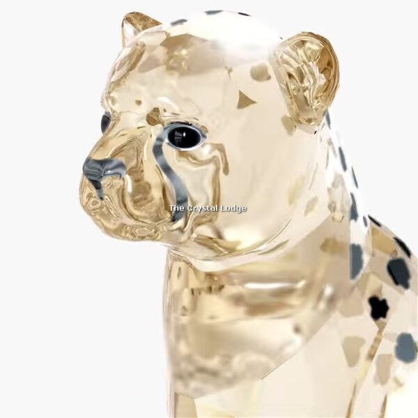 Swarovski_SCS_2023_Elegance_of_Africa_Cheetah_baby_Jabari_5636484 | The Crystal Lodge