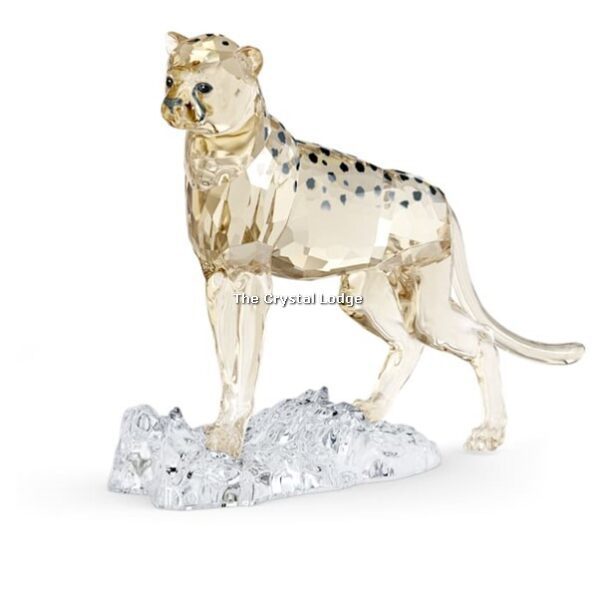 Swarovski_SCS_2023_Elegance_of_Africa_Cheetah_baby_Jabari_5636484 | The Crystal Lodge