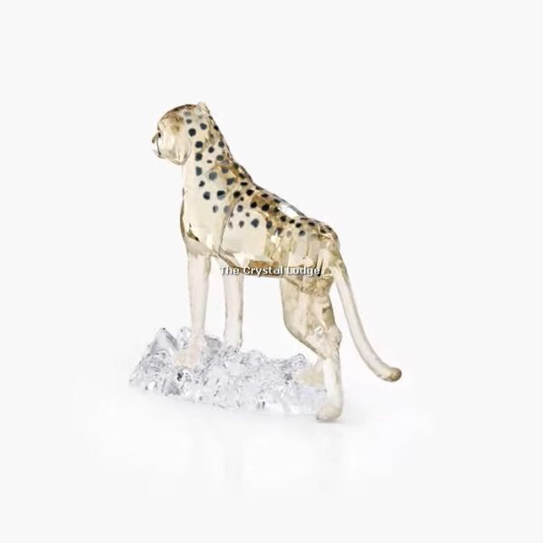 Swarovski_SCS_2023_Elegance_of_Africa_Cheetah_baby_Jabari_5636484 | The Crystal Lodge