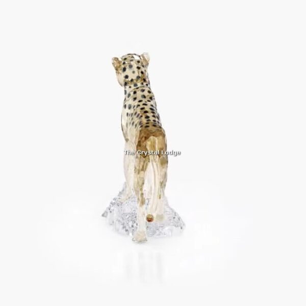Swarovski_SCS_2023_Elegance_of_Africa_Cheetah_baby_Jabari_5636484 | The Crystal Lodge