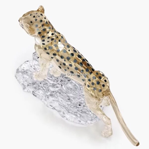 Swarovski_SCS_2023_Elegance_of_Africa_Cheetah_baby_Jabari_5636484 | The Crystal Lodge