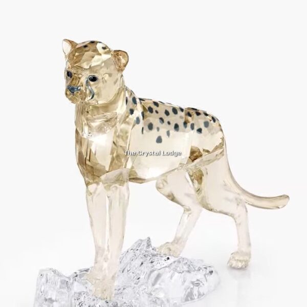 Swarovski_SCS_2023_Elegance_of_Africa_Cheetah_baby_Jabari_5636484 | The Crystal Lodge