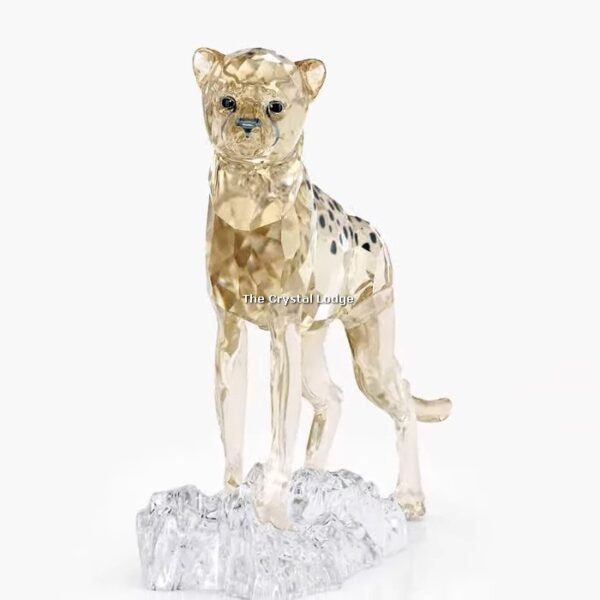 Swarovski_SCS_2023_Elegance_of_Africa_Cheetah_baby_Jabari_5636484 | The Crystal Lodge