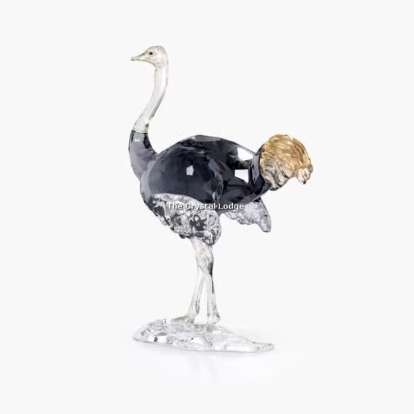 Swarovski_SCS_2023_Ostrich_Makena_5636302 | The Crystal Lodge