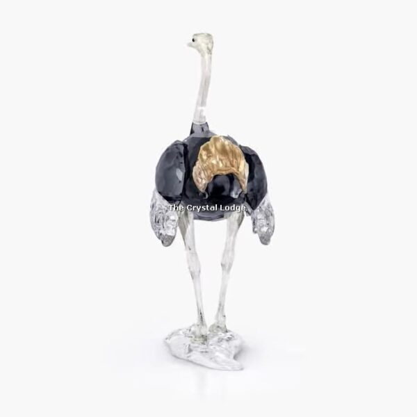 Swarovski_SCS_2023_Ostrich_Makena_5636302 | The Crystal Lodge