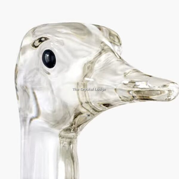 Swarovski_SCS_2023_Ostrich_Makena_5636302 | The Crystal Lodge