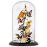 Swarovski_Idyllia_Birds_and_butterflies_bell_jar_5652388_1 Swarovski_Idyllia_Birds_and_butterflies_bell_jar_5652388 | The Crystal Lodge