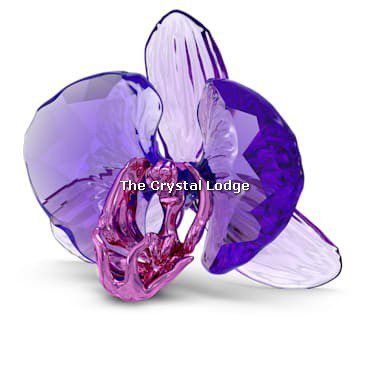 Swarovski_Idyllia_SCS_2024_orchid_petal_5669354 | The Crystal Lodge