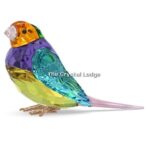 Swarovski_Idyllia_SCS_Gouldian_Finch_small_5689266_1_WM Swarovski_Idyllia_SCS_Gouldian_Finch_small_5689266 | The Crystal Lodge