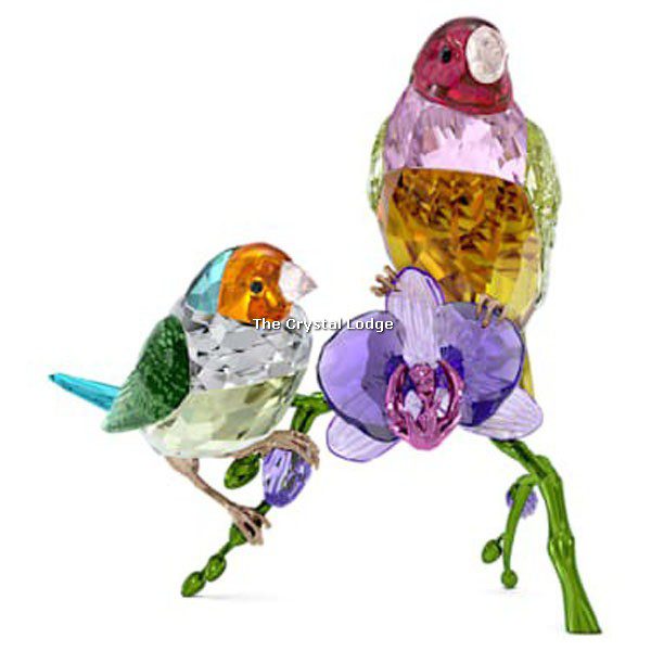 Swarovski_2024_AE_Gouldian_Finches_5670031 | The Crystal Lodge